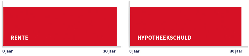 Aflossingsvrije hypotheek